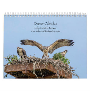 2027 Adirondack Osprey   Birds of Prey Photography Calendar