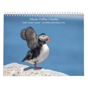 2027 Atlantic Puffins   Coastal Wildlife Photograp Calendar