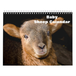 2027 Baby Sheep Lamb Calendar