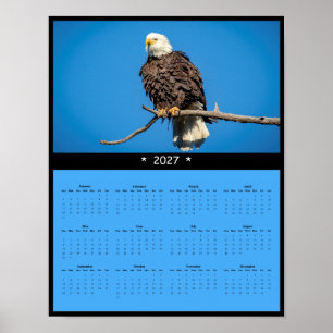 2027 Bald Eagle Wall Calendar - Piercing Gaze Poster