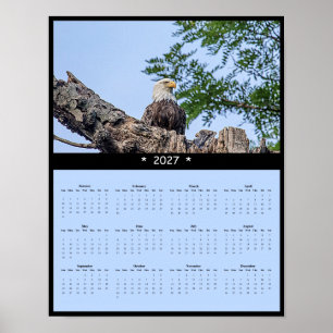 2027 Bald Eagle Wall Calendar - Soaring Spirit Poster