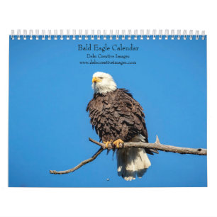 2027 Bald Eagles   American Wildlife Calendar