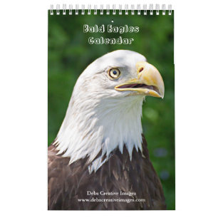 2027 Bald Eagles   Wildlife Photography Calendar