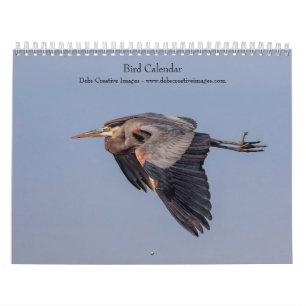 2027 Beautiful Birds   Wildlife Photography Calendar
