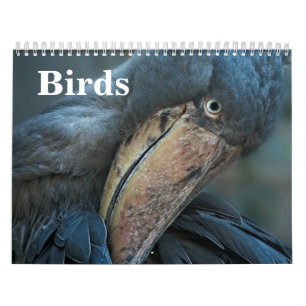 2027 Birds Calendar