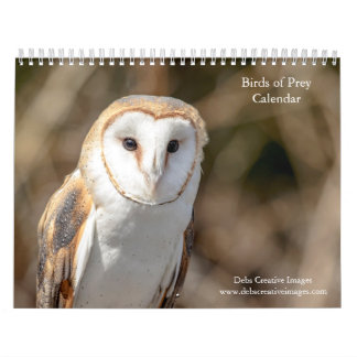 2027 Birds of Prey | North American Raptors Calendar