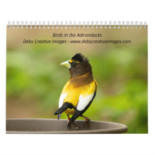 2027 Birds of the Adirondacks Songbirds Calendar
