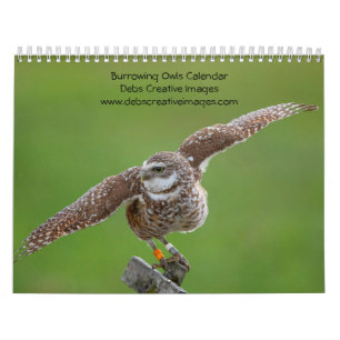 2027 Burrowing Owl   Florida Wildlife Photography Calendar