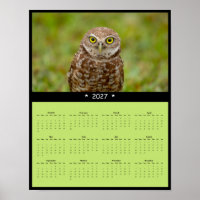 2027 Burrowing Owl Wall Calendar - Standing Tall