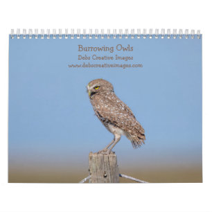 2027 Burrowing Owls of Southeast Florida Calendar
