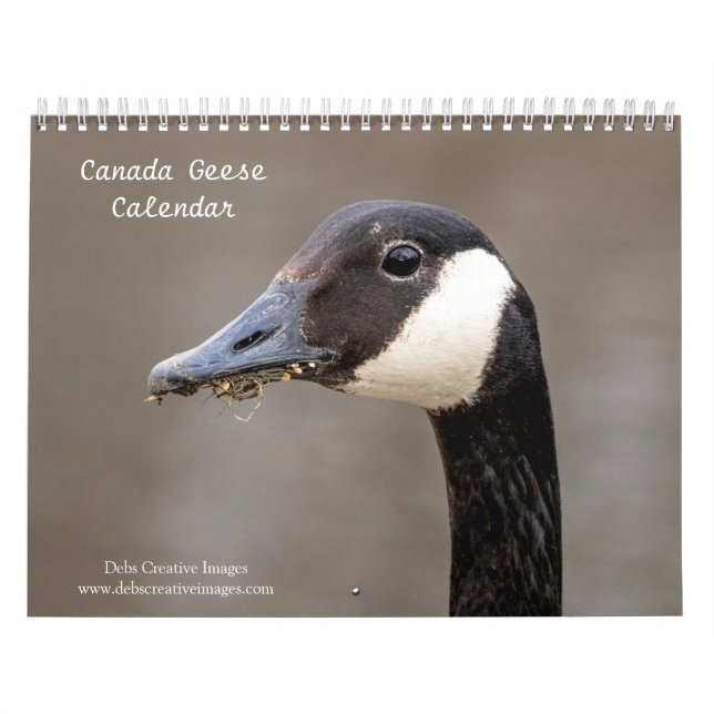 2027 Canada Geese | Family & Wildlife Photography Calendar (Cover)