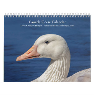 2027 Canada Geese   Family Wildlife Photography Calendar