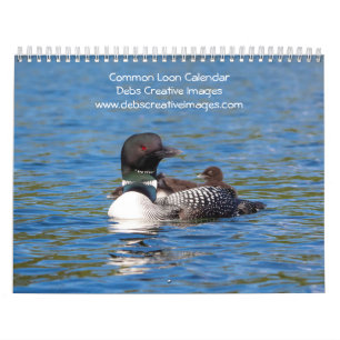 2027 Common Loons   Adirondack Lakes Calendar