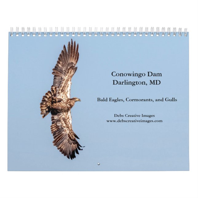 2027 Conowingo Dam Bald Eagles | Maryland Wildlife Calendar (Cover)