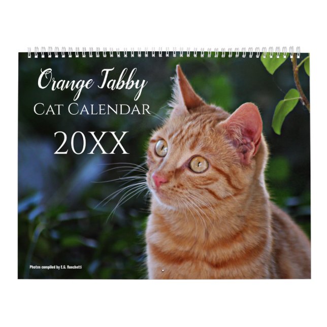 2027 Cute Orange Tabby Cats Kittens  Calendar (Cover)