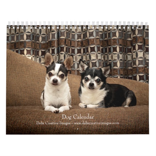 2027 Dogs | Best Friends in Every Season Calendar (Cover)