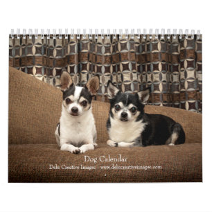 2027 Dogs   Best Friends in Every Season Calendar