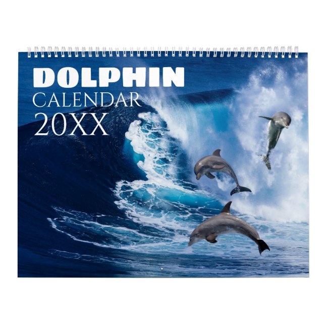 2027 Dolphin Wall Calendar Sealife Nature (Cover)