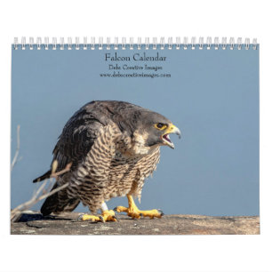 2027 Falcons Masters of Speed & Flight Calendar