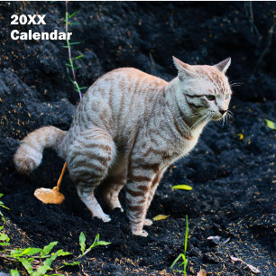 2027 Funny Cats Pooping Calendar Personalised
