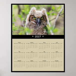 2027 Great Horned Owl Wall Calendar: Wise Guardian Poster