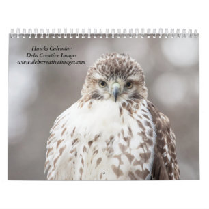 2027 Hawks of the Hudson Valley Wildlife Calendar