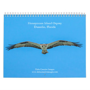 2027 Honeymoon Island Osprey Florida Wildlife Calendar