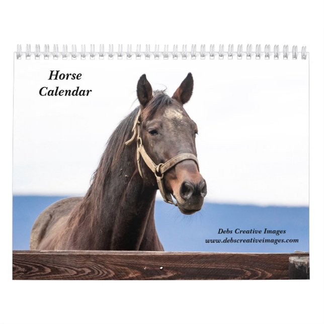2027 Horses of New York | Equestrian Photography Calendar (Cover)