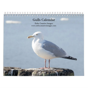 2027 Hudson River Gulls   Wildlife Photography Calendar