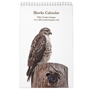 2027 Hudson Valley Red-tailed Hawks Wildlife Pho Calendar