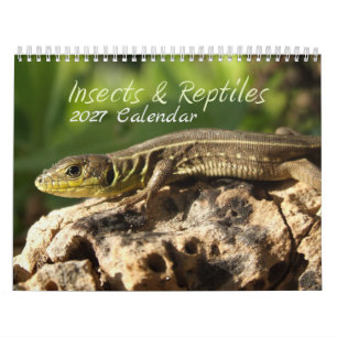 2027 Insects & Reptiles Calendar
