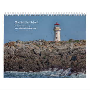 2027 Machias Seal Island   Puffins & Seabirds Calendar