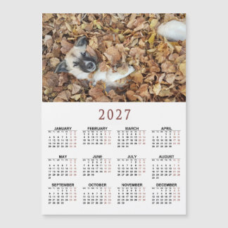 2027 magnetic calendar with Your animals