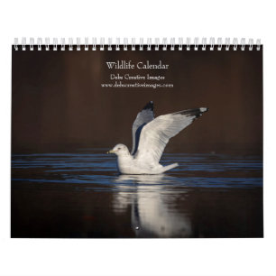 2027 North American Wildlife Wild Animals Calendar