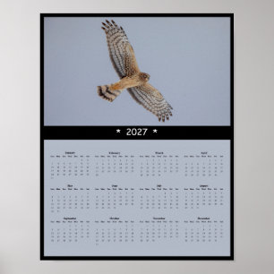 2027 Northern Harrier Wall Calendar - Grasslands Poster
