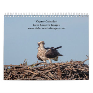 2027 Osprey   Fish Hawk Photography Calendar