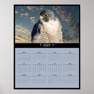 2027 Peregrine Falcon Wall Calendar Poster