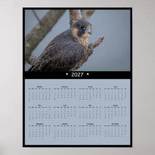 2027 Peregrine Falcon Wall Calendar Poster