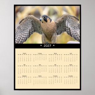 2027 Peregrine Falcon Wall Calendar - Sky Hunter Poster