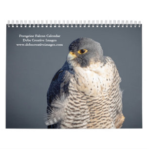 2027 Peregrine Falcon World's Fastest Bird Calendar