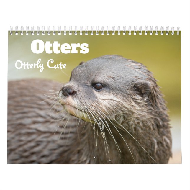 2027 Playful Otters Photo Calendar (Cover)
