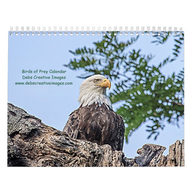 2027 Raptors of New York | Wildlife Photography Calendar (Cover)