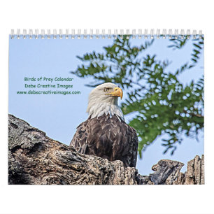 2027 Raptors of New York   Wildlife Photography Calendar