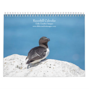 2027 Razorbills   Seabirds of Maine Calendar