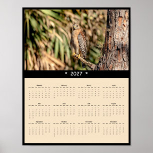 2027 Red-shouldered Hawk Wall Calendar - Forest Poster