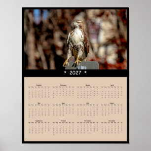 2027 Red-tailed Hawk Wall Calendar Perched Raptor Poster