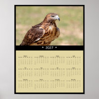 2027 Red-tailed Hawk Wall Calendar - Raptor