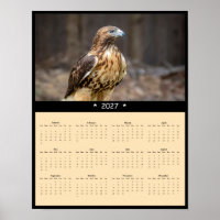2027 Red-tailed Hawk Wall Calendar - Raptor