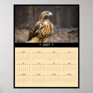 2027 Red-tailed Hawk Wall Calendar - Raptor Poster