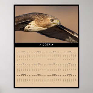 2027 Red-tailed Hawk Wall Calendar - Raptor Poster